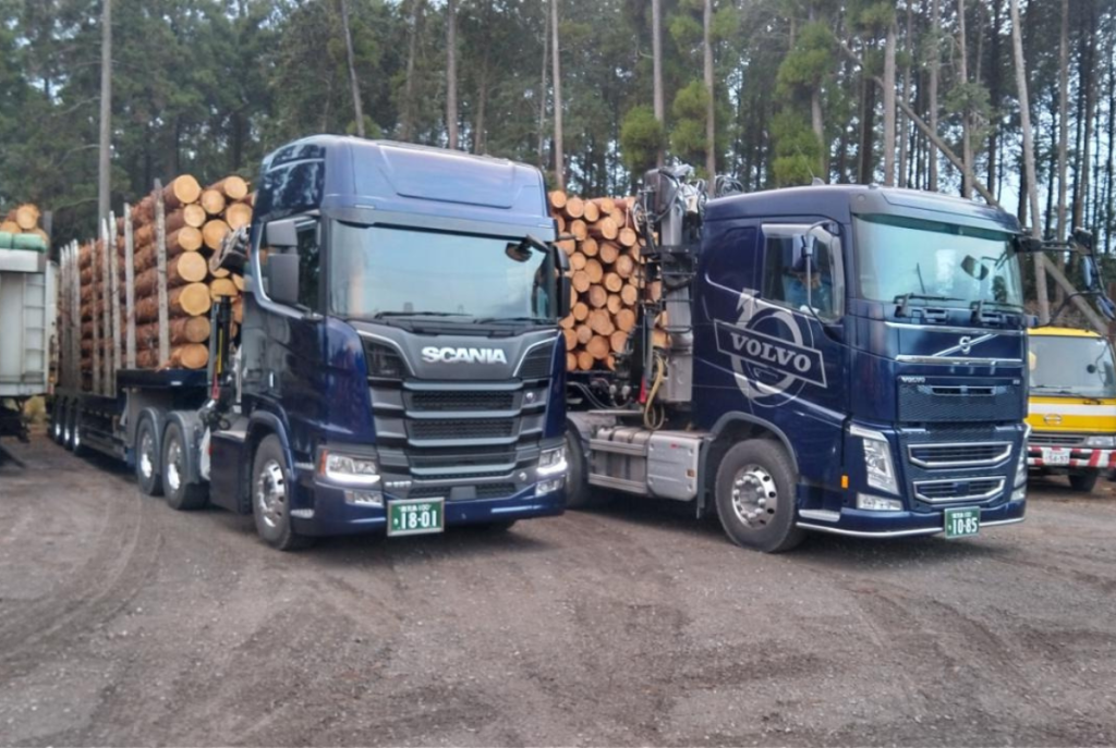 大口注文,業務用販売,国産ヒノキ,ヒノキ薪,焚火用薪,暖炉用薪,キャンプ薪,ナチュラル燃料,アウトドア薪,高品質薪,煙が少ない薪,薪ストーブ用